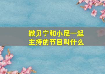 撒贝宁和小尼一起主持的节目叫什么