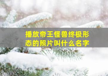 播放帝王怪兽终极形态的照片叫什么名字