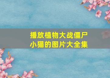 播放植物大战僵尸小猫的图片大全集