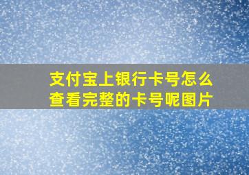 支付宝上银行卡号怎么查看完整的卡号呢图片