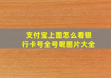 支付宝上面怎么看银行卡号全号呢图片大全