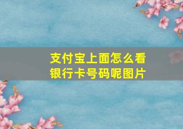 支付宝上面怎么看银行卡号码呢图片