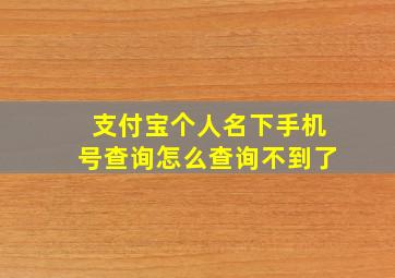 支付宝个人名下手机号查询怎么查询不到了