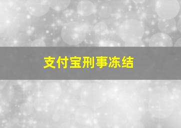 支付宝刑事冻结