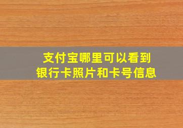 支付宝哪里可以看到银行卡照片和卡号信息