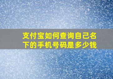 支付宝如何查询自己名下的手机号码是多少钱