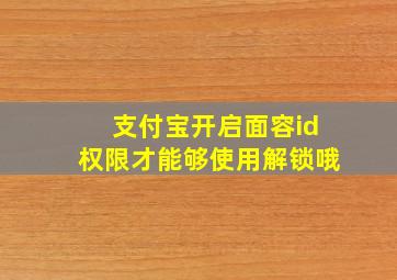 支付宝开启面容id权限才能够使用解锁哦