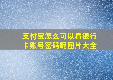 支付宝怎么可以看银行卡账号密码呢图片大全