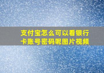 支付宝怎么可以看银行卡账号密码呢图片视频