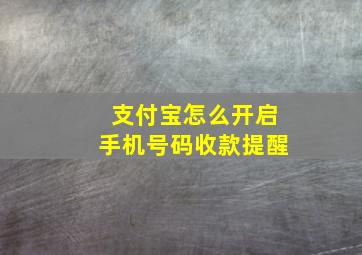 支付宝怎么开启手机号码收款提醒