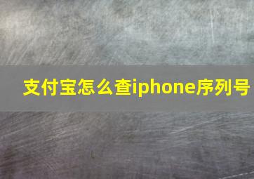 支付宝怎么查iphone序列号