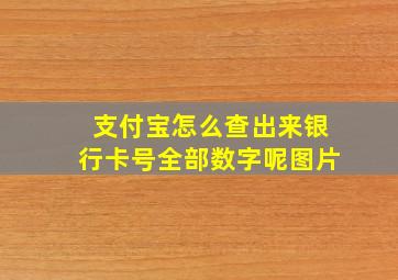 支付宝怎么查出来银行卡号全部数字呢图片