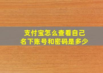 支付宝怎么查看自己名下账号和密码是多少