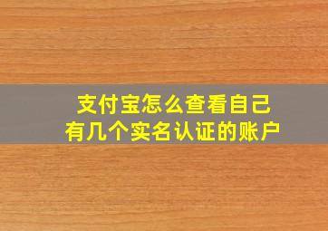 支付宝怎么查看自己有几个实名认证的账户