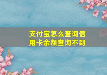 支付宝怎么查询信用卡余额查询不到