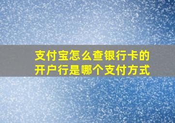 支付宝怎么查银行卡的开户行是哪个支付方式