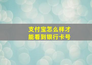 支付宝怎么样才能看到银行卡号