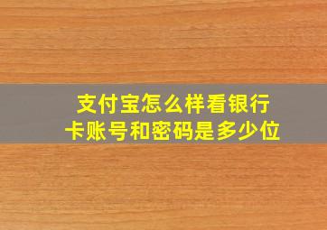 支付宝怎么样看银行卡账号和密码是多少位