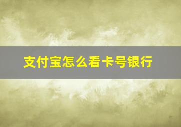 支付宝怎么看卡号银行