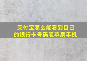 支付宝怎么能看到自己的银行卡号码呢苹果手机