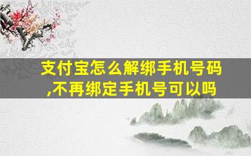 支付宝怎么解绑手机号码,不再绑定手机号可以吗