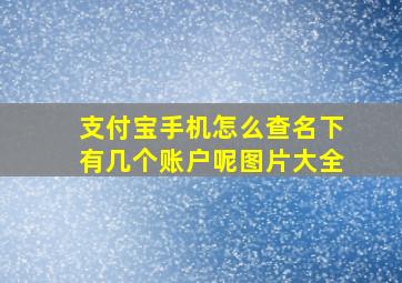 支付宝手机怎么查名下有几个账户呢图片大全