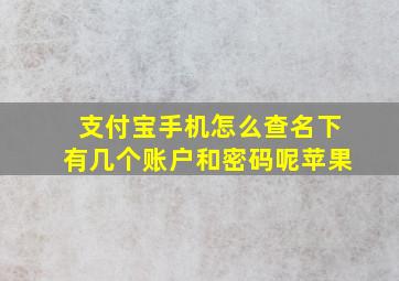 支付宝手机怎么查名下有几个账户和密码呢苹果