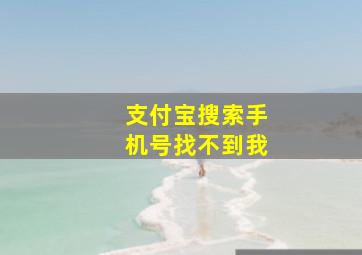 支付宝搜索手机号找不到我