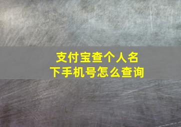 支付宝查个人名下手机号怎么查询