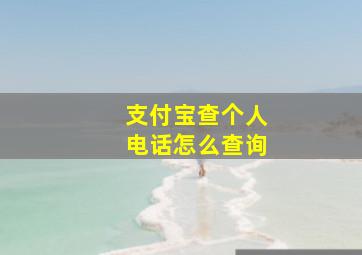 支付宝查个人电话怎么查询