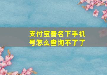 支付宝查名下手机号怎么查询不了了