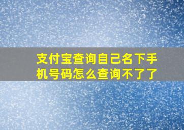 支付宝查询自己名下手机号码怎么查询不了了