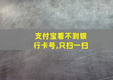 支付宝看不到银行卡号,只扫一扫