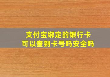 支付宝绑定的银行卡可以查到卡号吗安全吗