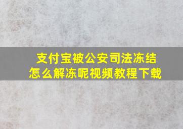 支付宝被公安司法冻结怎么解冻呢视频教程下载