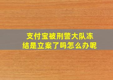 支付宝被刑警大队冻结是立案了吗怎么办呢