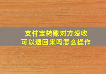 支付宝转账对方没收可以退回来吗怎么操作