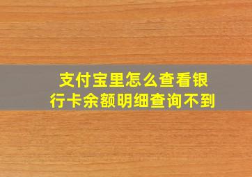 支付宝里怎么查看银行卡余额明细查询不到