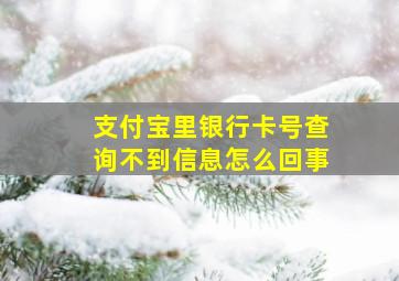 支付宝里银行卡号查询不到信息怎么回事