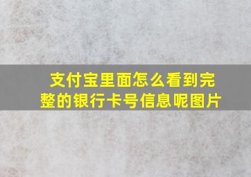 支付宝里面怎么看到完整的银行卡号信息呢图片