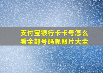 支付宝银行卡卡号怎么看全部号码呢图片大全