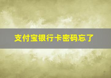 支付宝银行卡密码忘了