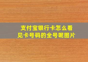 支付宝银行卡怎么看见卡号码的全号呢图片