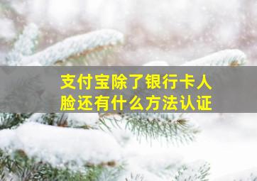 支付宝除了银行卡人脸还有什么方法认证