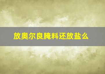 放奥尔良腌料还放盐么