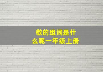 敬的组词是什么呢一年级上册