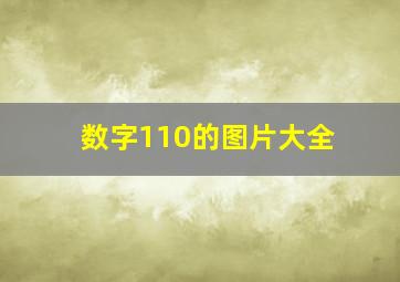 数字110的图片大全