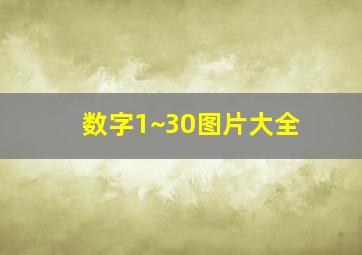 数字1~30图片大全