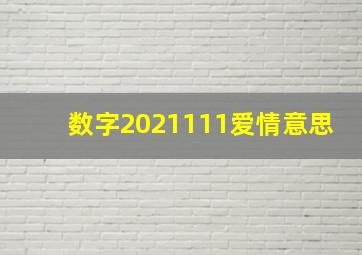 数字2021111爱情意思