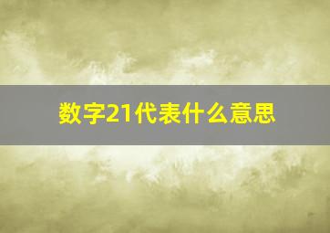 数字21代表什么意思